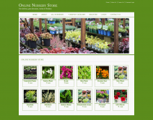 Java, JSP and MySQL Project on Online Nursery Store Java, JSP and MySQL Project on Online Nursery Store