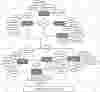 Course Enquiry System ER Diagram