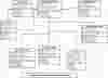 Placement Cell Management System Class Diagram